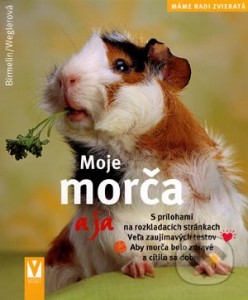 Obrázok