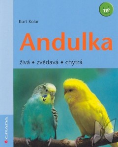 Obrázok